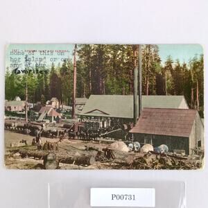 Lumber Camp & Sawmill California Early 1900s Postcard CA Mules Men Typed Front